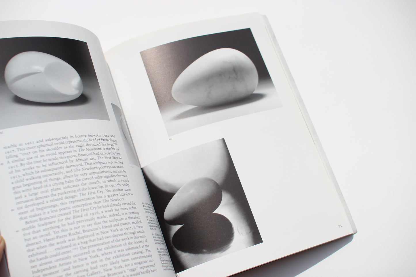 'Brancusi' art book