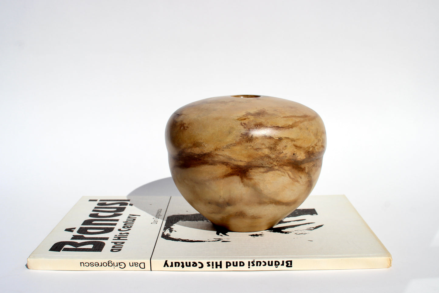 acorn vessel