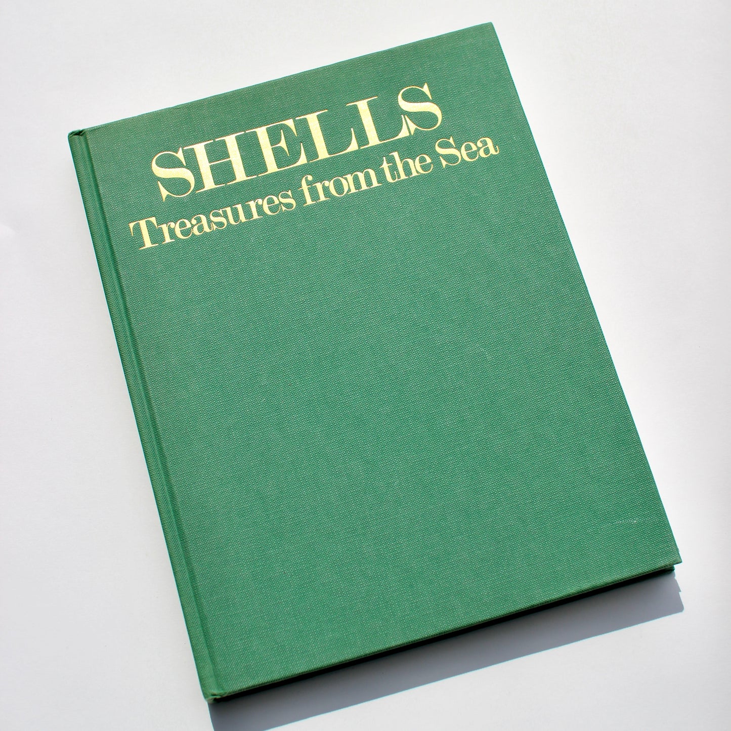 'Shells: Treasures from the Sea' book