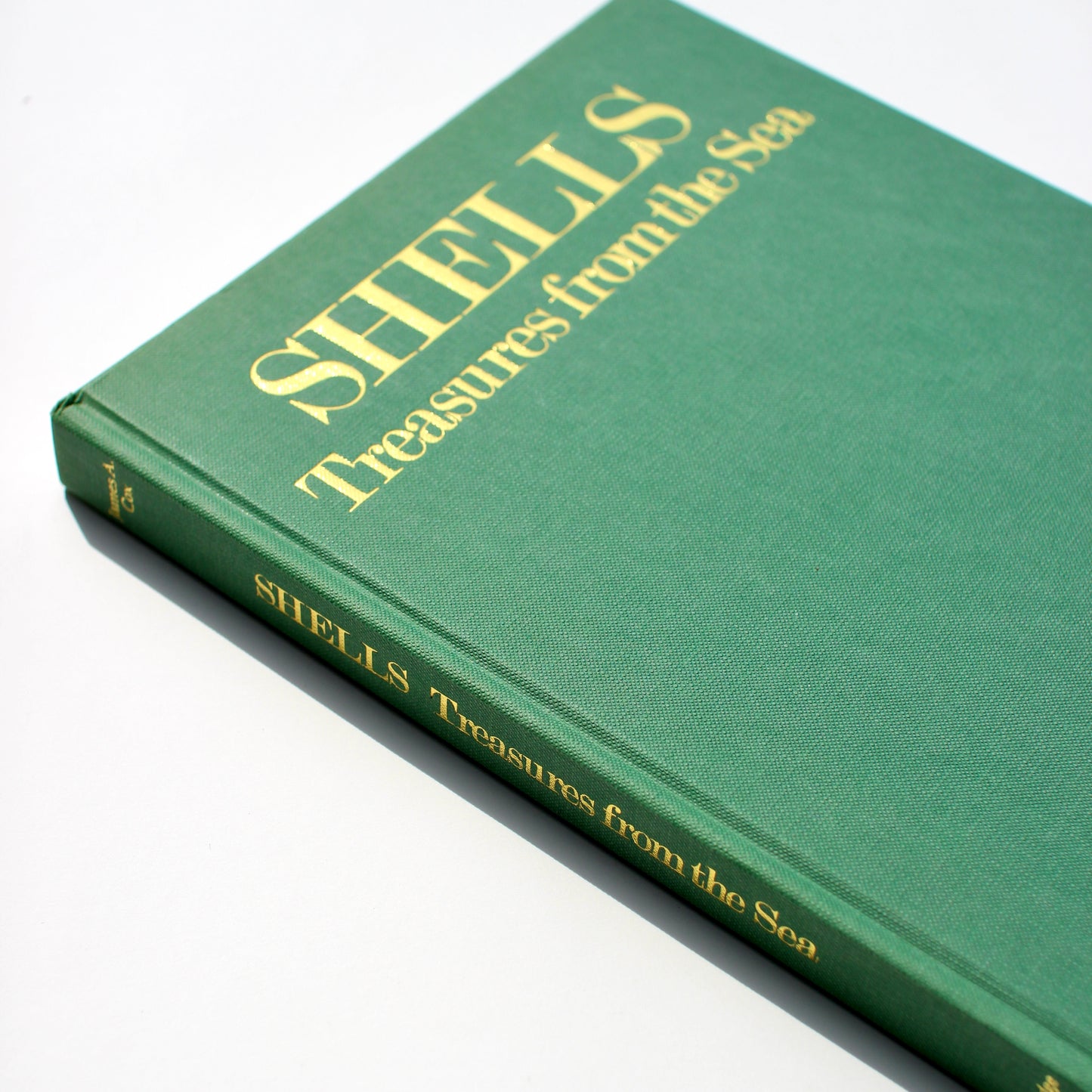 'Shells: Treasures from the Sea' book