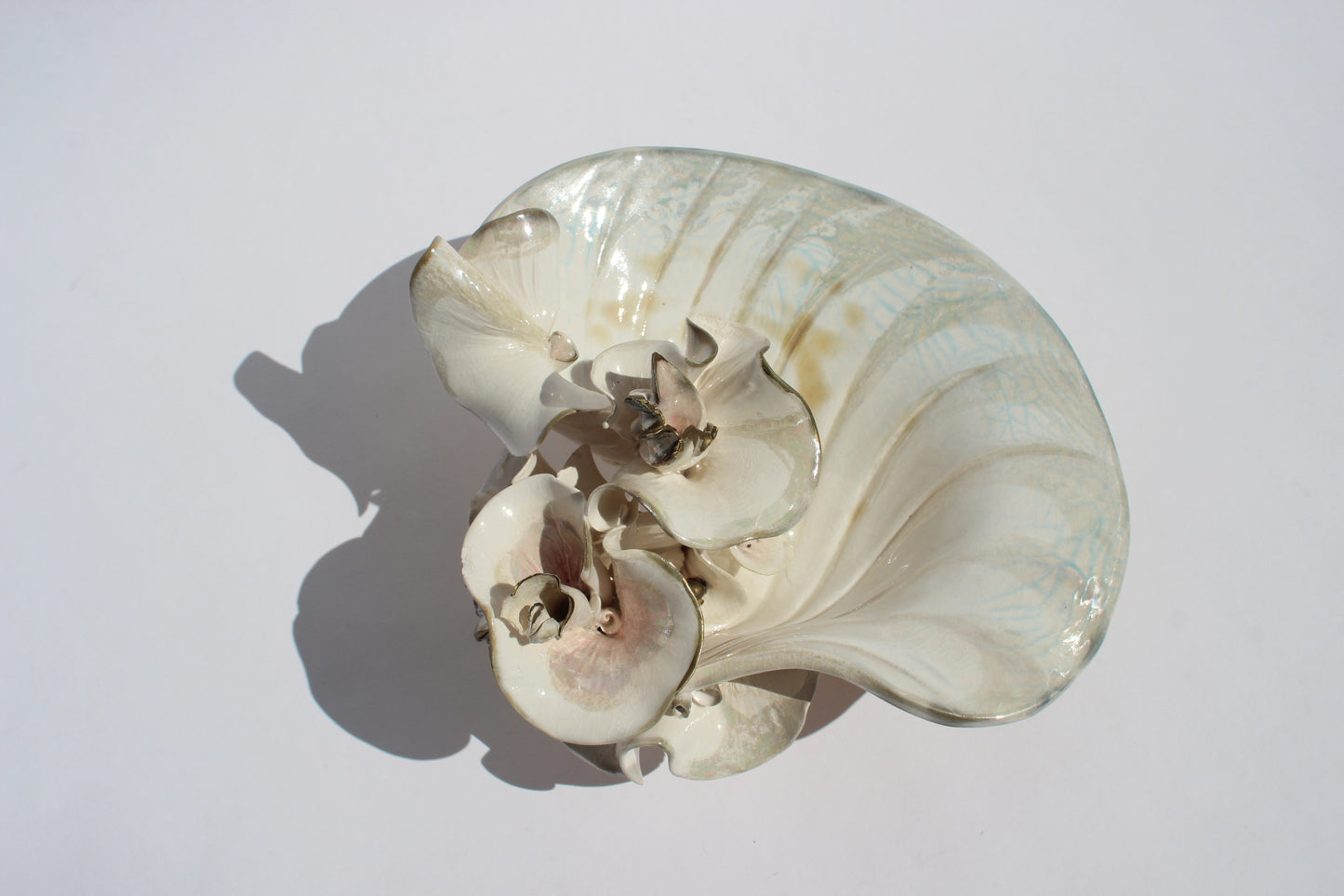 delicate porcelain shell sculpture