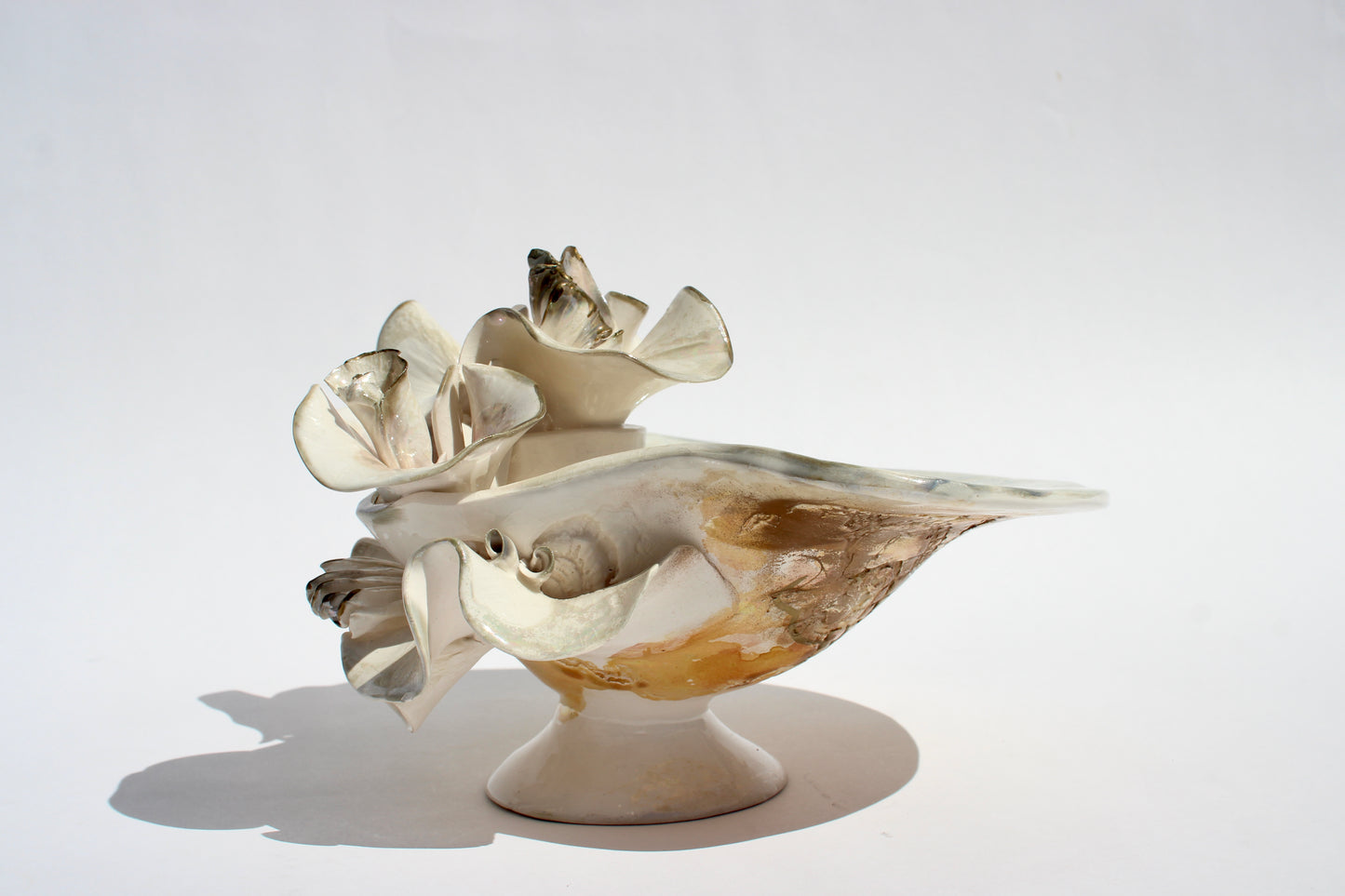 delicate porcelain shell sculpture