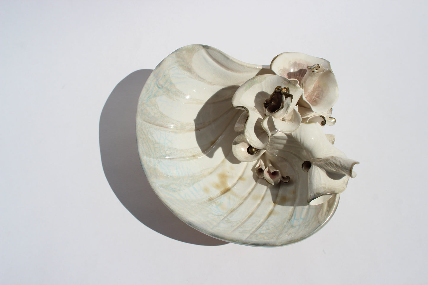 delicate porcelain shell sculpture