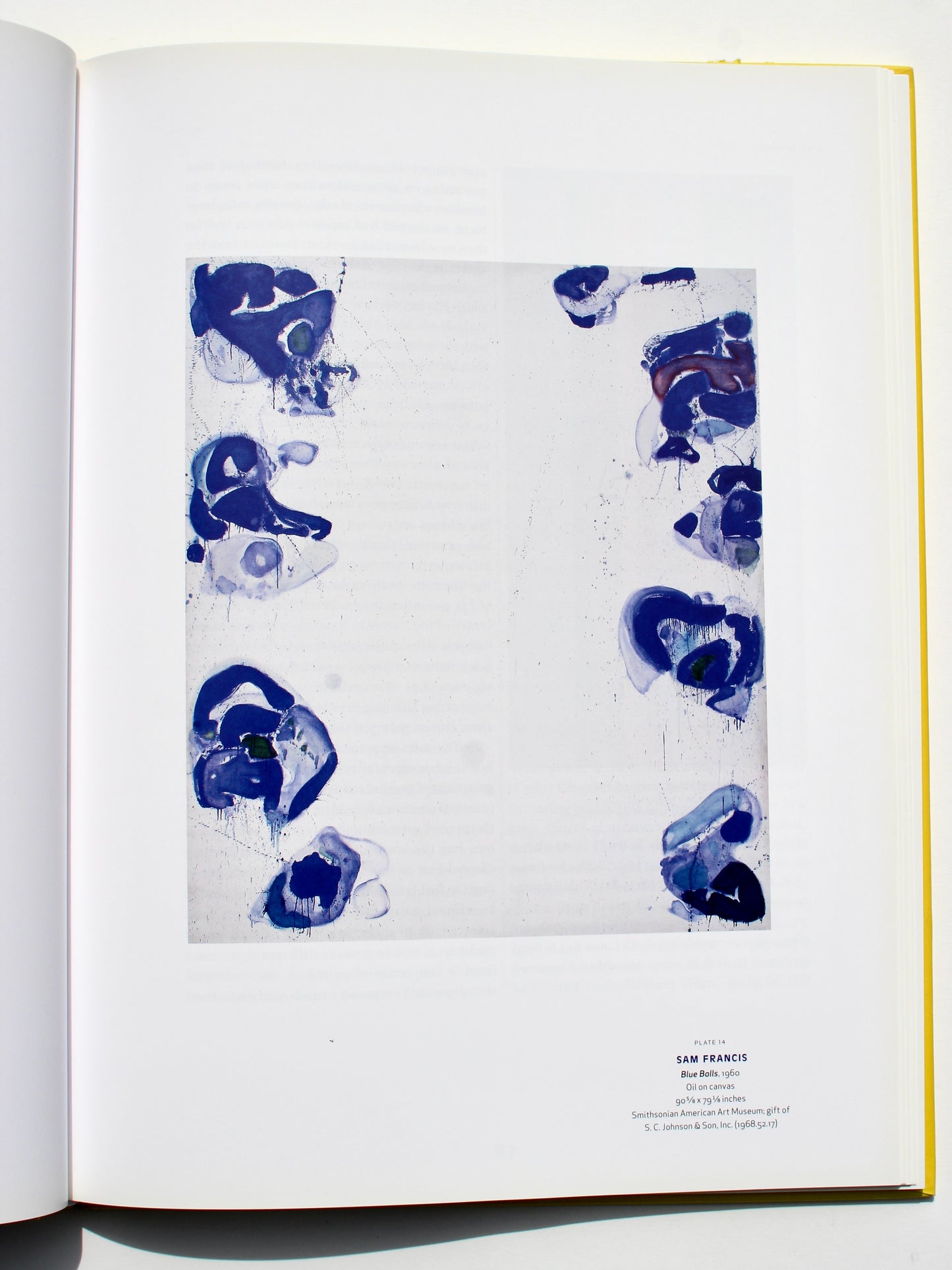 'Color As Field American Painting 1950-1975' art book