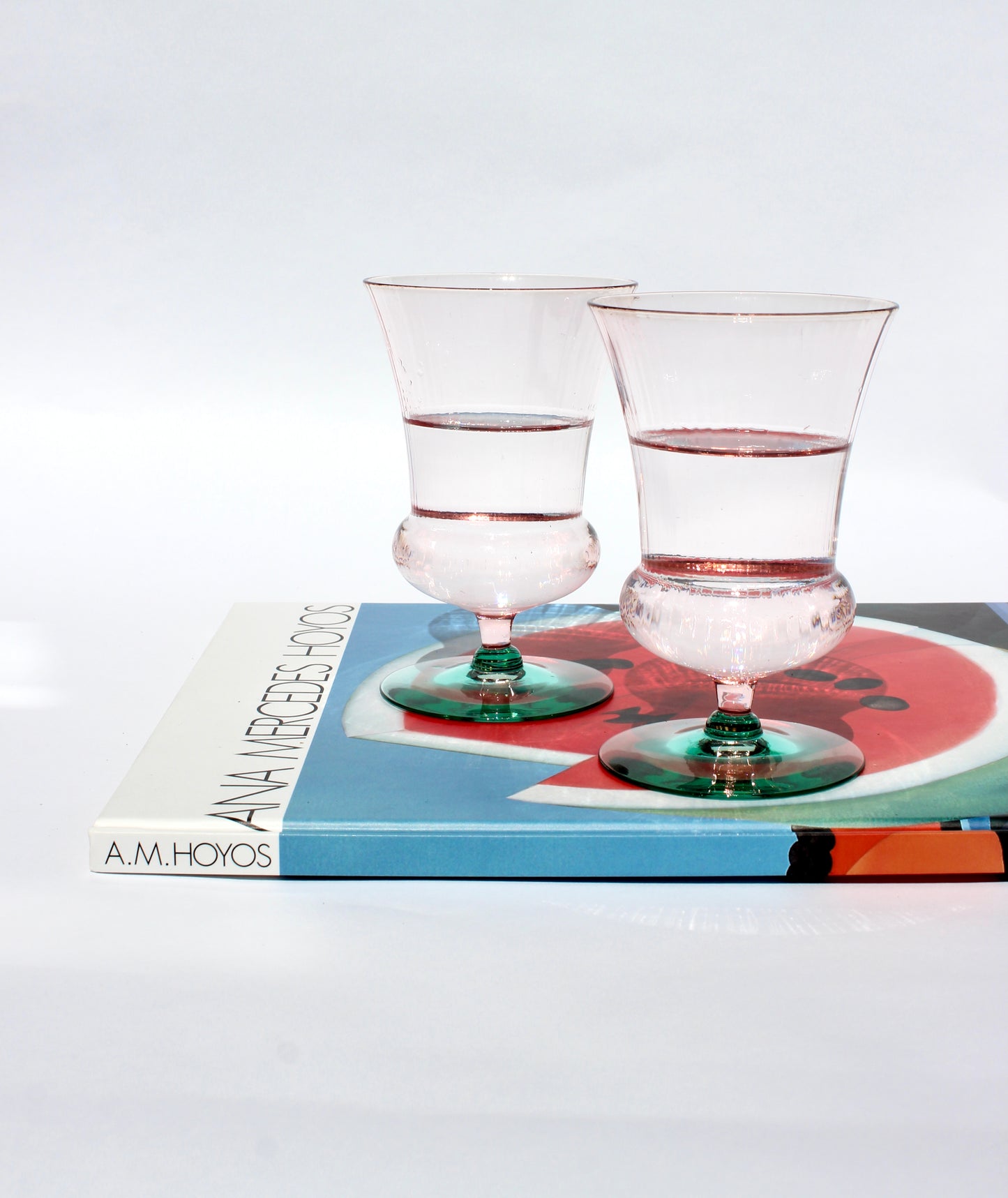 ana mercedes hoyos vintage art book