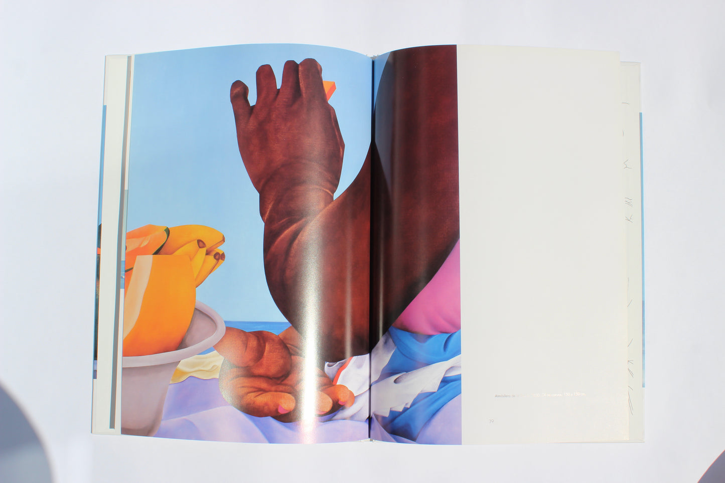 ana mercedes hoyos vintage art book