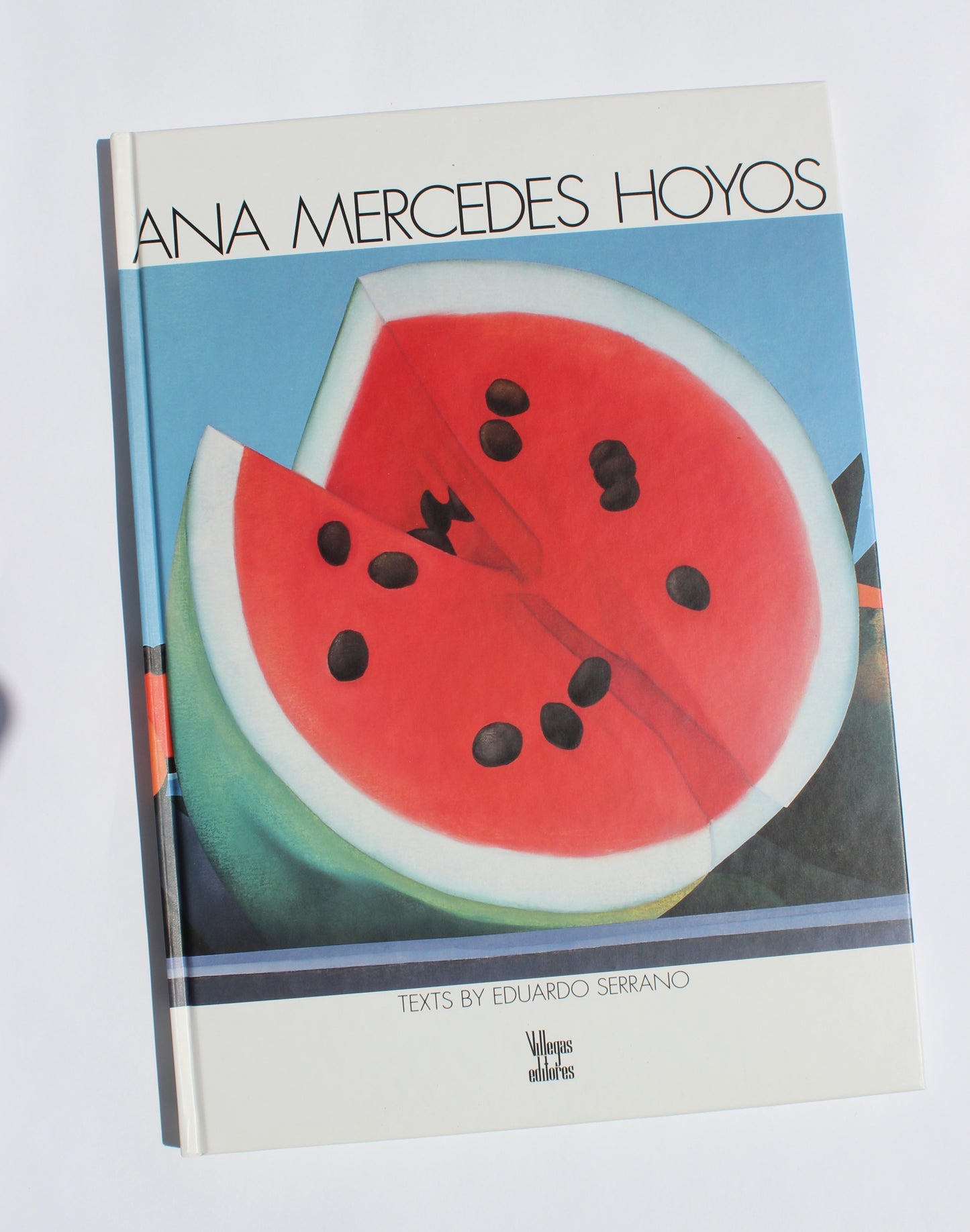 ana mercedes hoyos vintage art book
