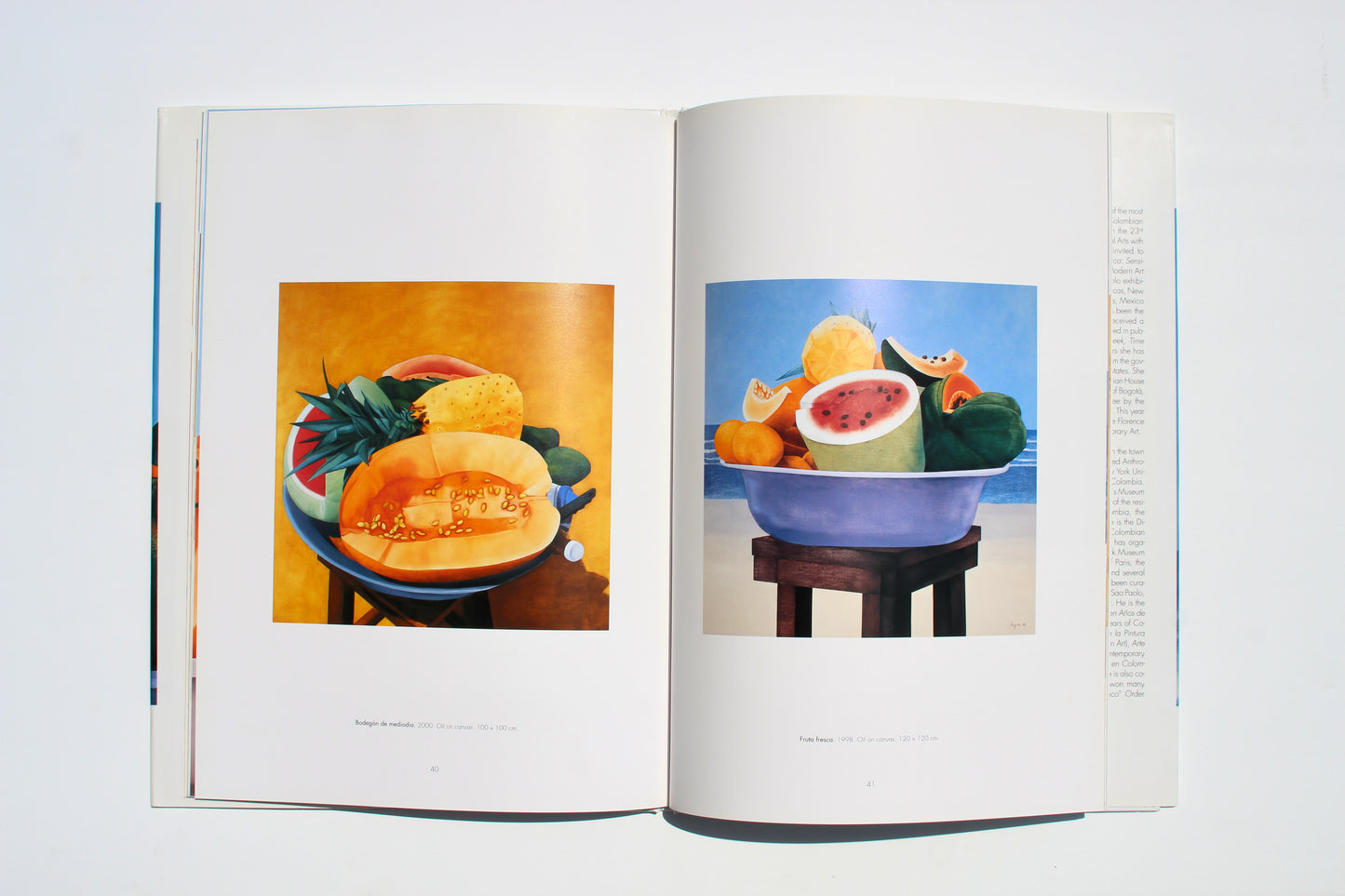 ana mercedes hoyos vintage art book