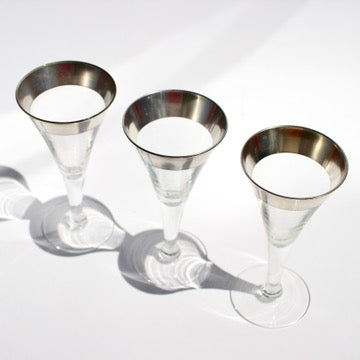 dorothy thorpe silver rim flutes (3)