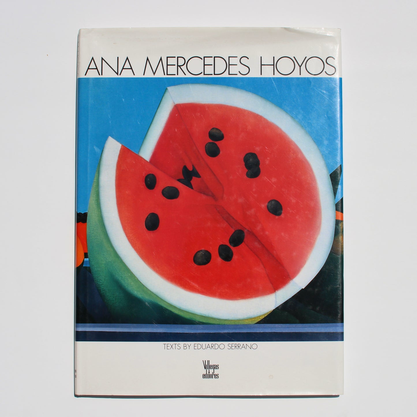 ana mercedes hoyos vintage art book