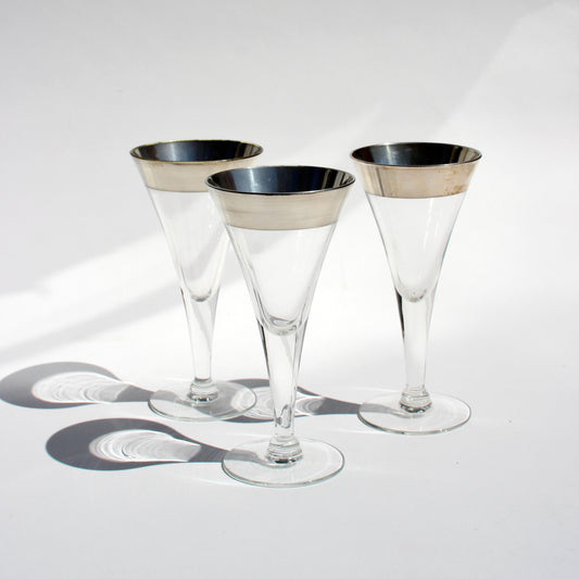 dorothy thorpe silver rim flutes (3)