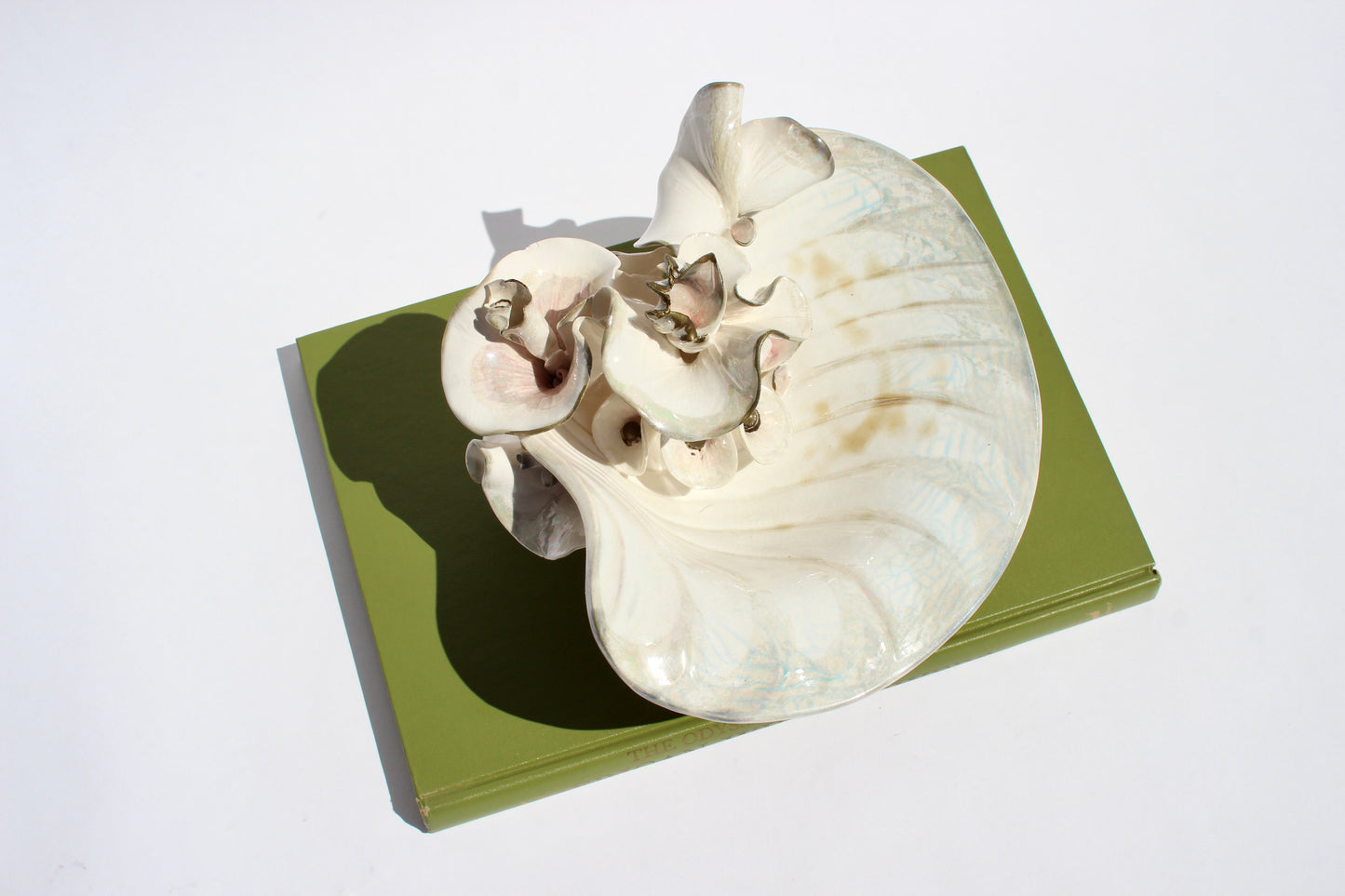 delicate porcelain shell sculpture