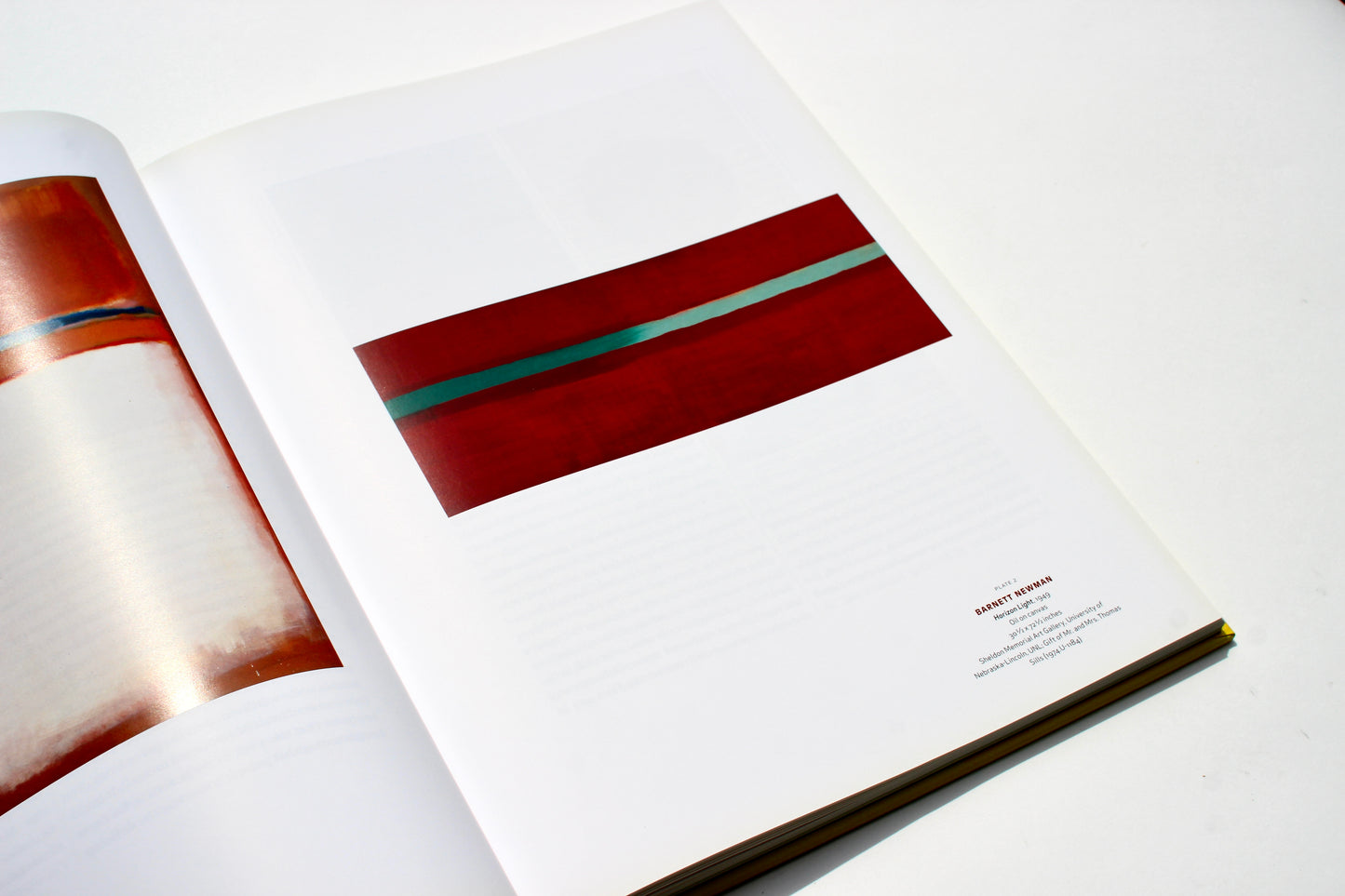 'Color As Field American Painting 1950-1975' art book