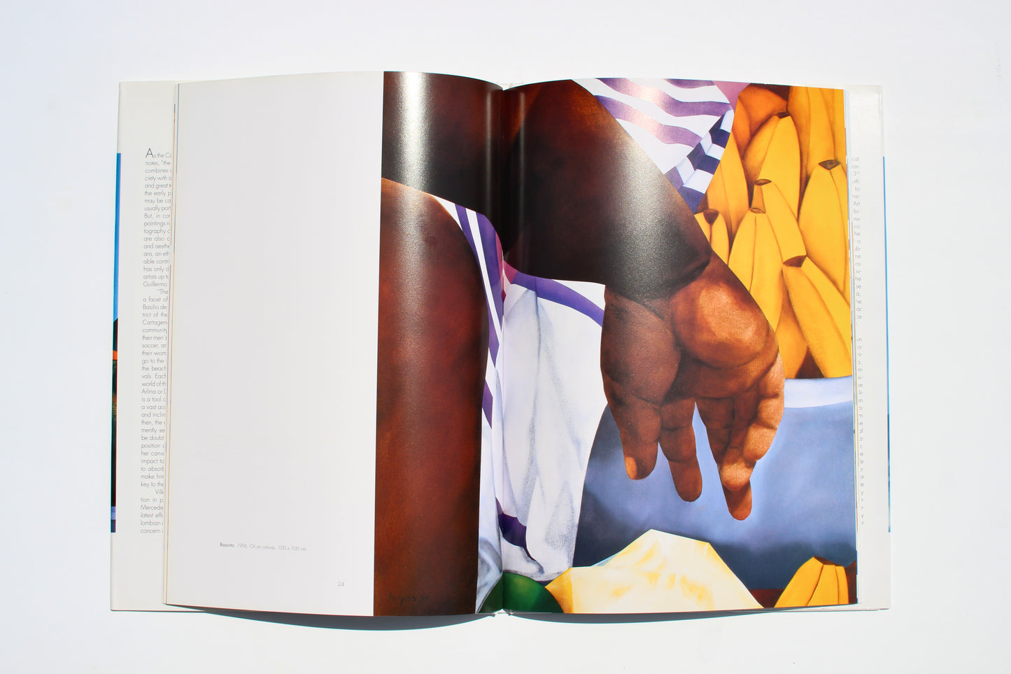 ana mercedes hoyos vintage art book
