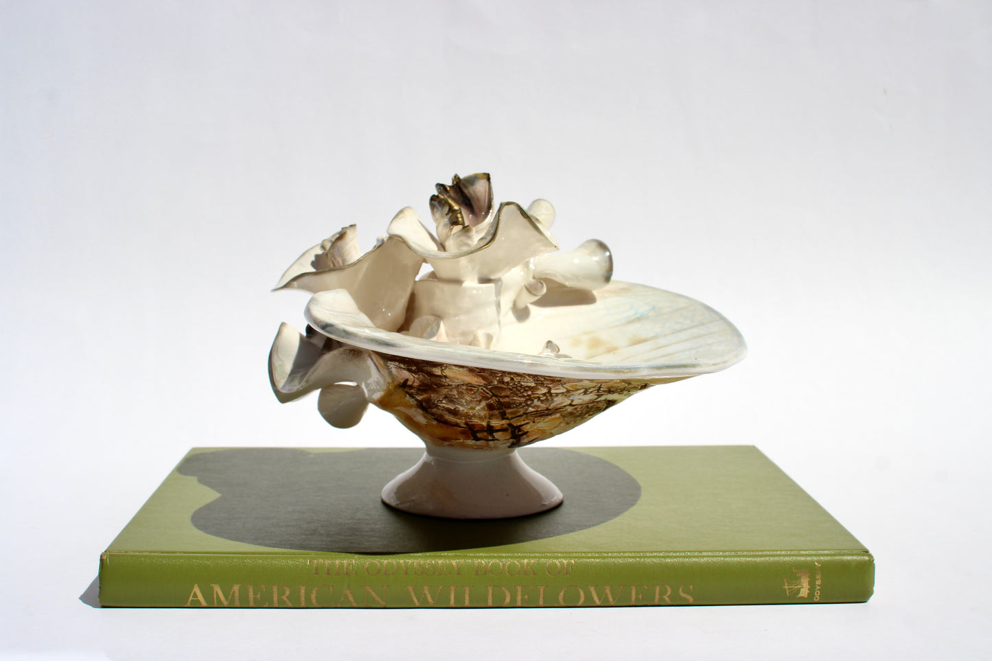 delicate porcelain shell sculpture