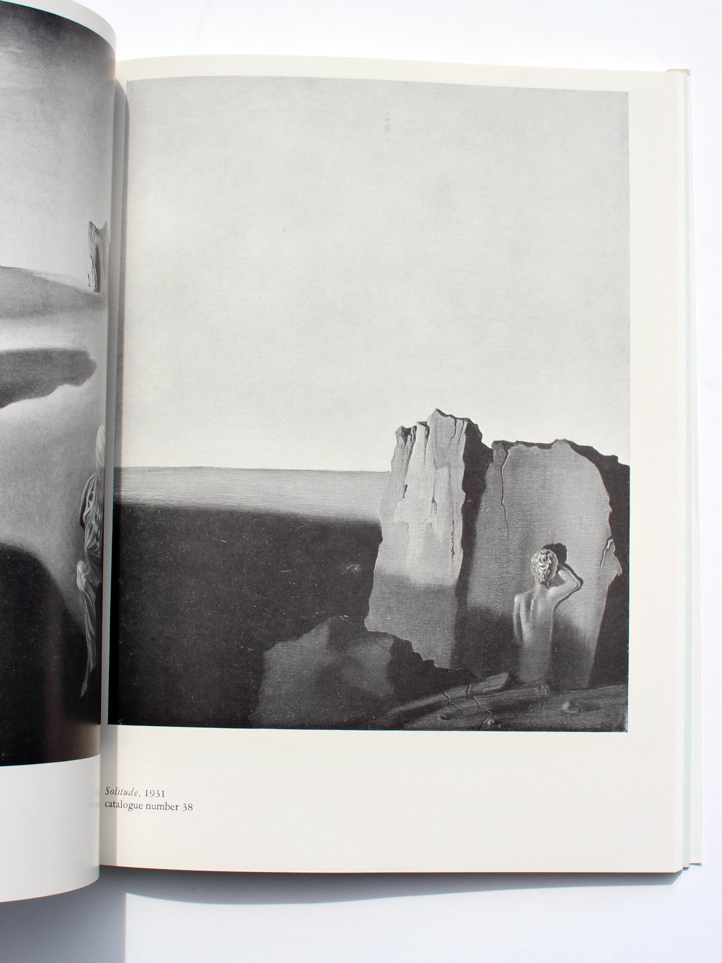 'Salvador Dali' art book