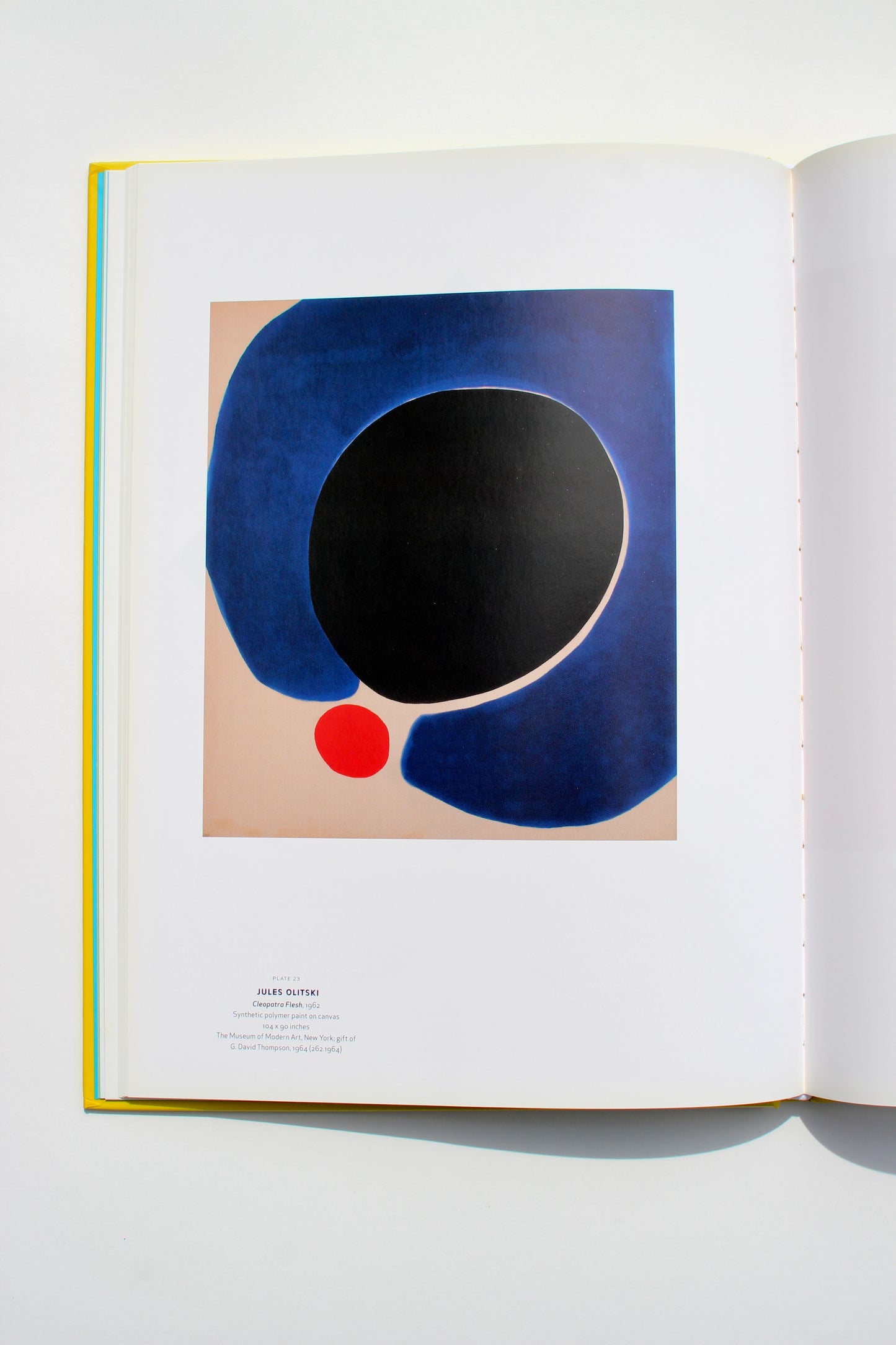 'Color As Field American Painting 1950-1975' art book