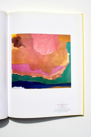'Color As Field American Painting 1950-1975' art book