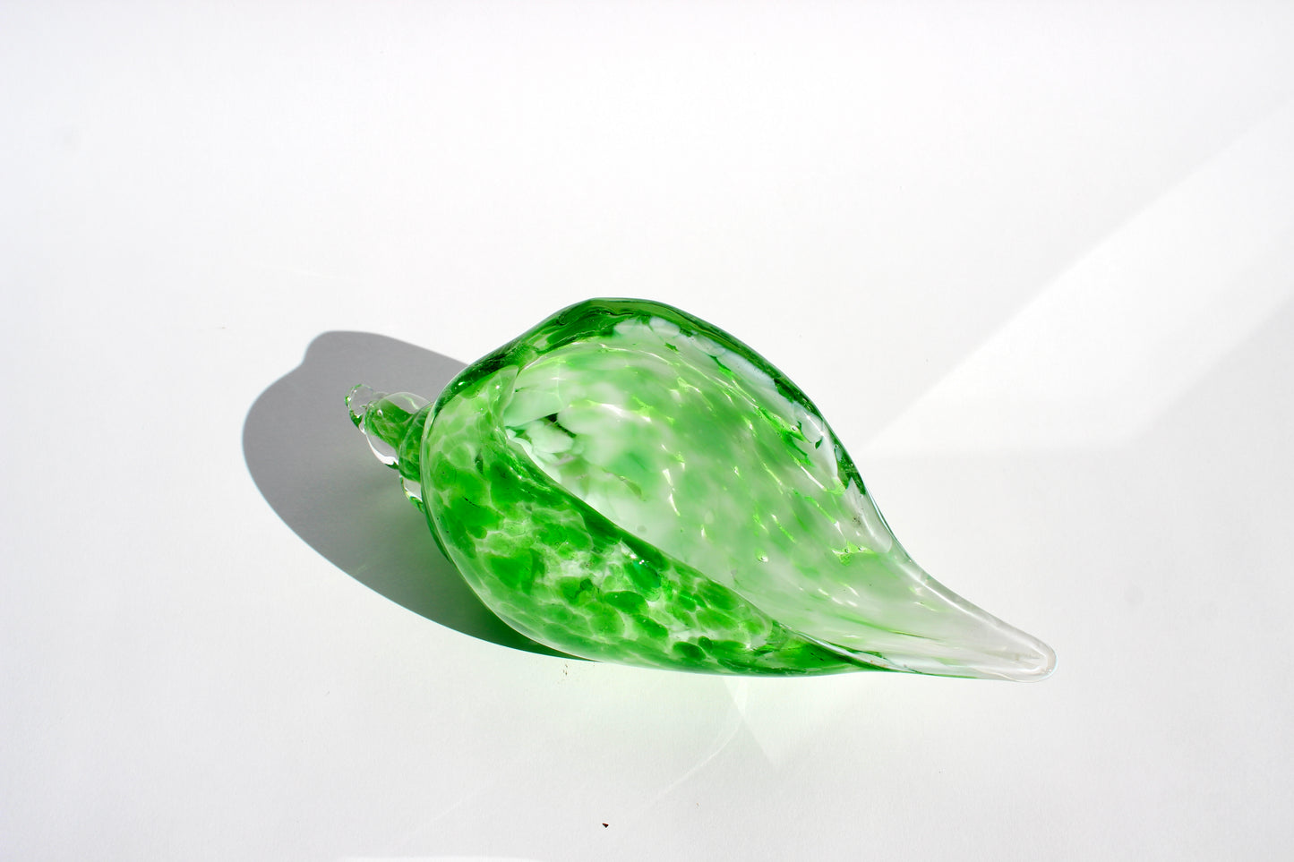 lime green italian seashell
