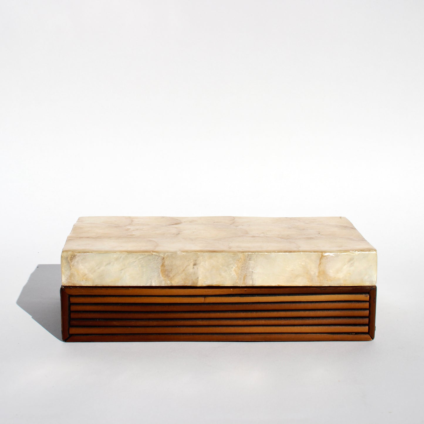 abalone shell + wood box
