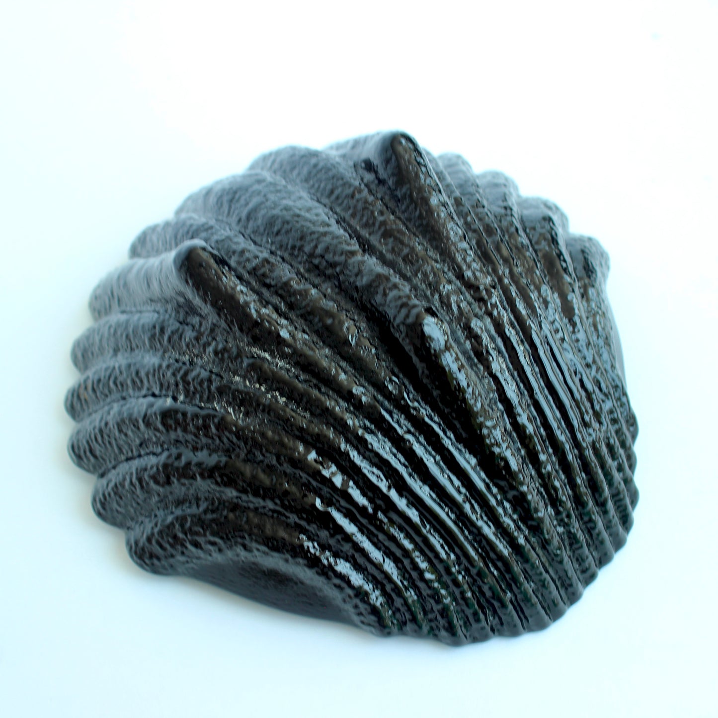 black clamshell dish