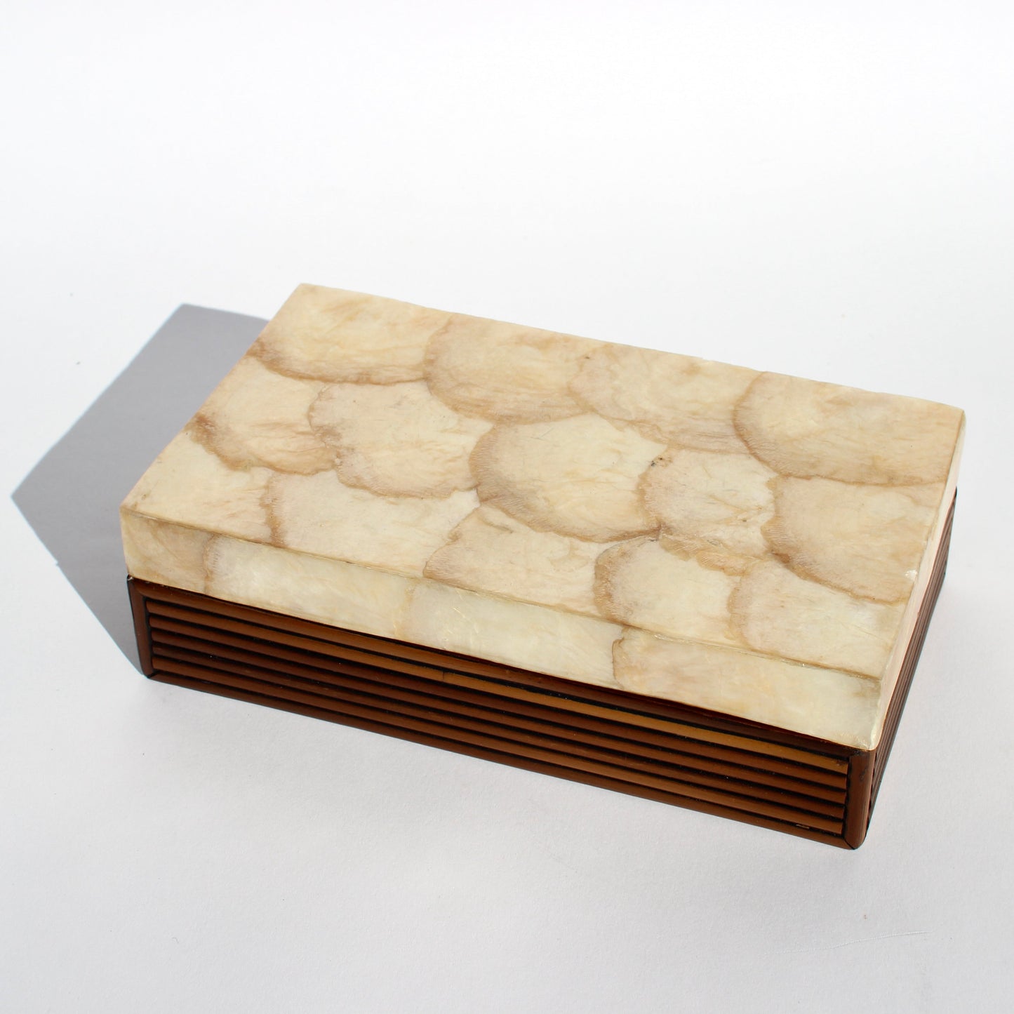 abalone shell + wood box