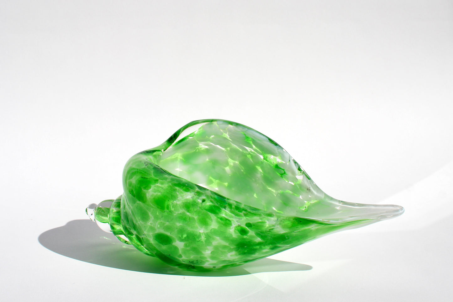 lime green italian seashell