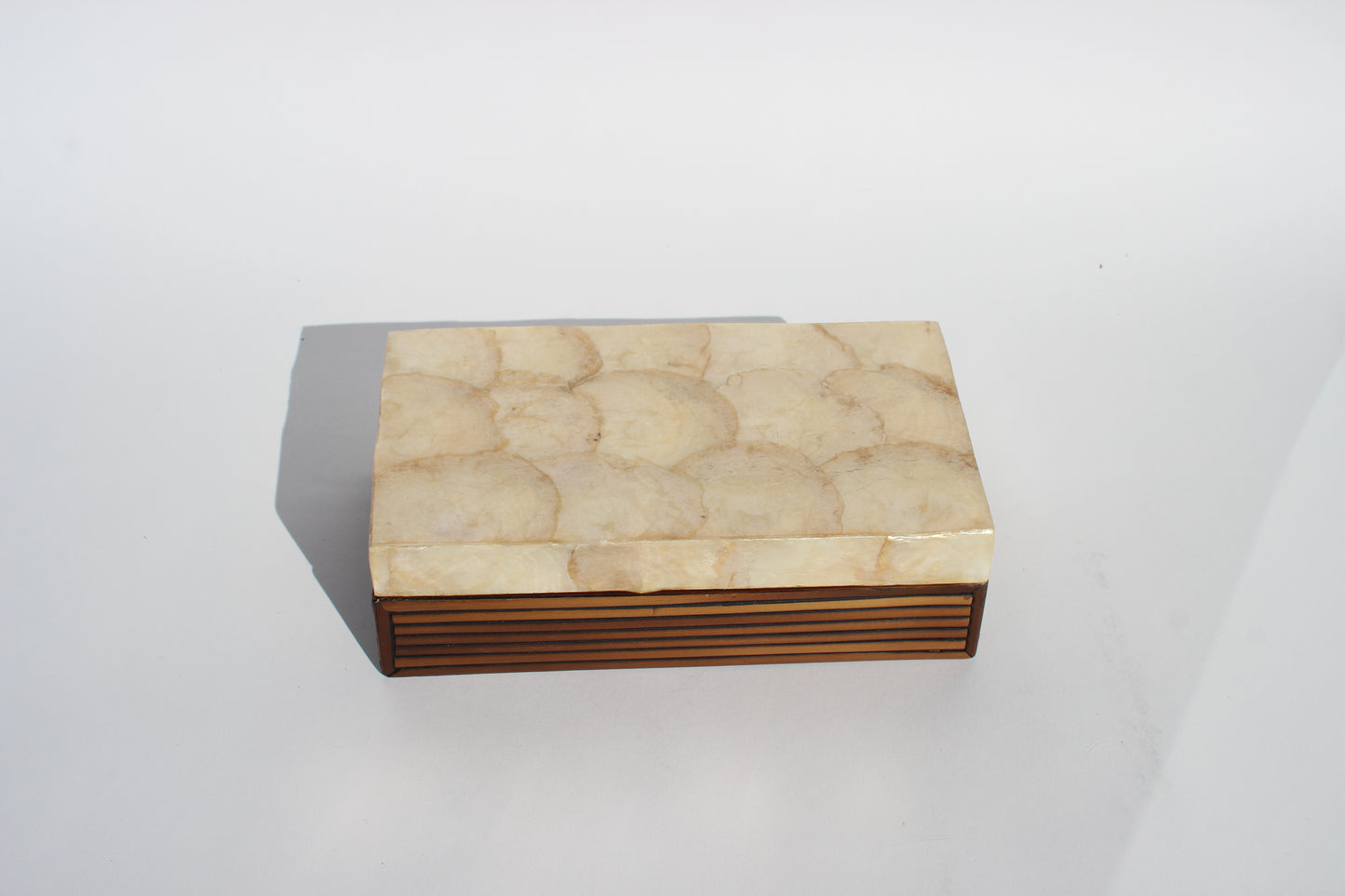 abalone shell + wood box