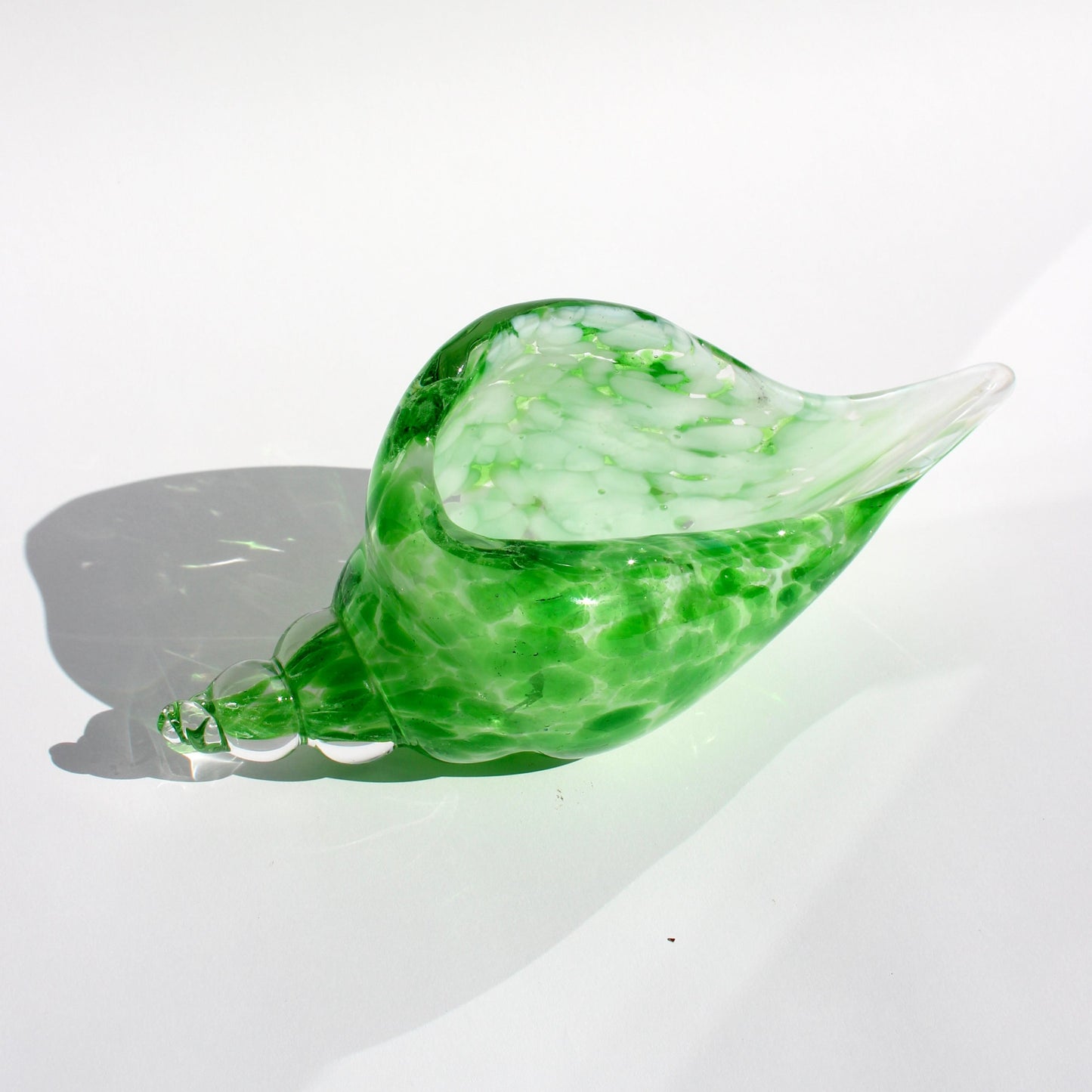lime green italian seashell